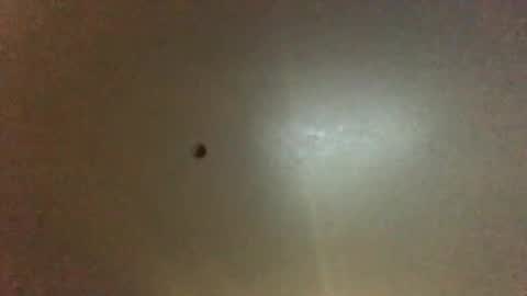 Snapshot of hardforyou3030 chatting on September 28, 2025, 11:21 pm For You online show from September 28, 2025, 11:21 pm