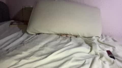 Snapshot of hardnstyle chatting on October 20, 2025, 12:00 am HARD AND STYLE online show from October 20, 2025, 12:00 am