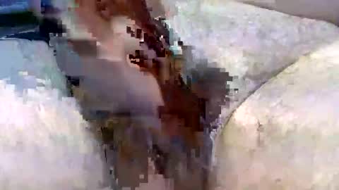 Hardonjohnny68 online show from December 2, 2025, 9:03 am