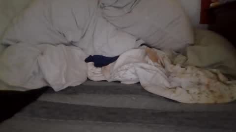 Snapshot of harry1cannary chatting on October 7, 2025, 8:22 am harry1cannary online show from October 7, 2025, 8:22 am