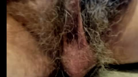 harry_banana online show from January 1, 2025, 9:52 pm