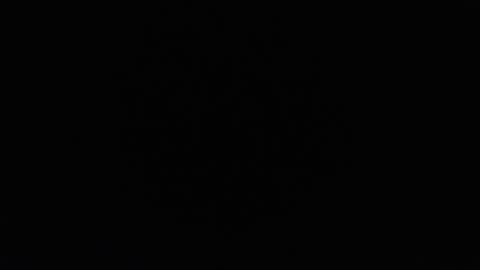 Snapshot of harry_reems_ chatting on January 23, 2025, 6:45 pm OMAR online show from January 23, 2025, 6:45 pm