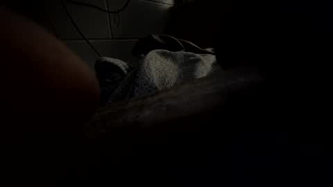 Snapshot of hartwell84 chatting on January 23, 2025, 10:22 am J Hart online show from January 23, 2025, 10:22 am