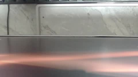 hass online show from January 31, 2026, 7:11 pm