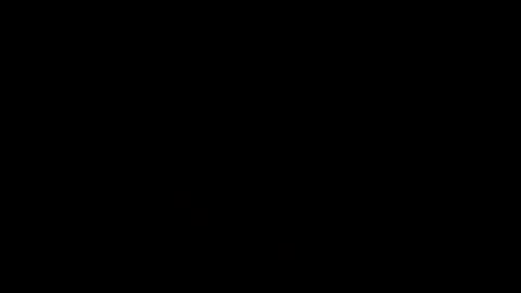 andres online show from January 19, 2025, 2:06 pm
