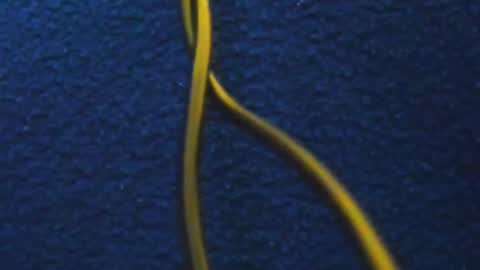 andres online show from March 5, 2025, 11:49 am