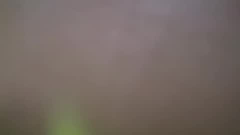 Snapshot of haydarcum chatting on February 14, 2025, 2:54 pm ZhongLi online show from February 14, 2025, 2:54 pm