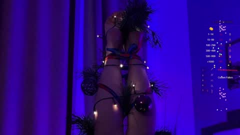 Snapshot of hayles_strong chatting on December 29, 2024, 2:38 am Elle online show from December 29, 2024, 2:38 am