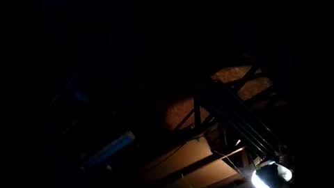 hbdj2164 online show from November 26, 2025, 8:26 am