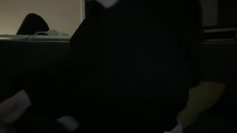 Snapshot of hchappel19 chatting on October 1, 2025, 8:15 pm hchappel19 online show from October 1, 2025, 8:15 pm