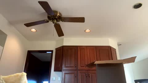 heatwavee online show from November 4, 2025, 12:59 pm