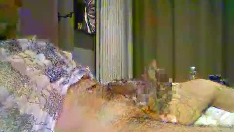 Snapshot of heddamedda59 chatting on April 3, 2026, 4:16 pm heddamedda59 online show from April 3, 2026, 4:16 pm