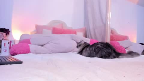 Snapshot of heidimountain chatting on September 29, 2025, 11:53 pm Anny Ferreiro online show from September 29, 2025, 11:53 pm