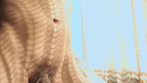 Helio online show from February 3, 2026, 11:32 pm