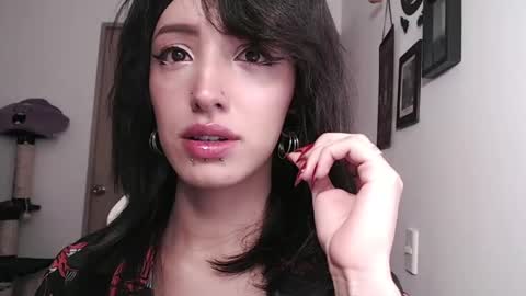 cher online show from January 11, 2025, 10:29 pm