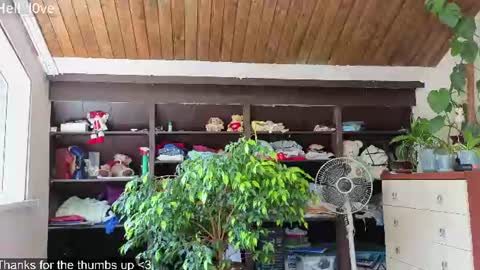 Anastasiia  online show from June 21, 2026, 9:01 am