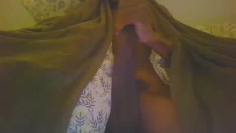 hemlocks online show from March 2, 2025, 3:59 pm