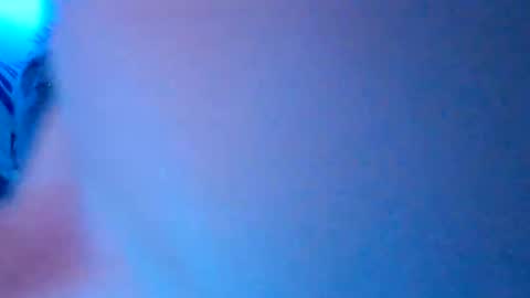 herjafe online show from October 17, 2025, 8:50 am