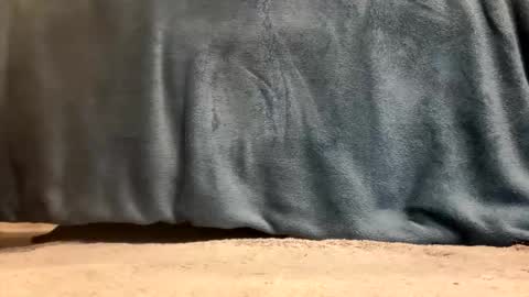 hevyryder online show from April 14, 2026, 9:37 am