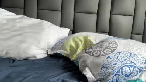 Snapshot of highlatin_guys chatting on September 21, 2025, 8:54 pm Terry and E online show from September 21, 2025, 8:54 pm