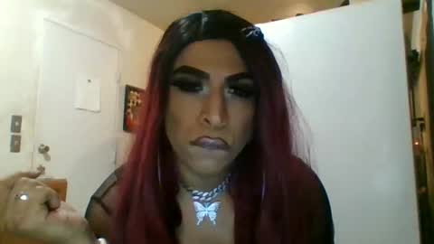 hihheelstranny online show from April 12, 2026, 8:08 am