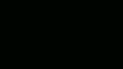 hofnung online show from February 22, 2026, 10:36 am