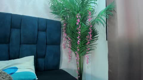 holly online show from November 24, 2025, 7:13 pm