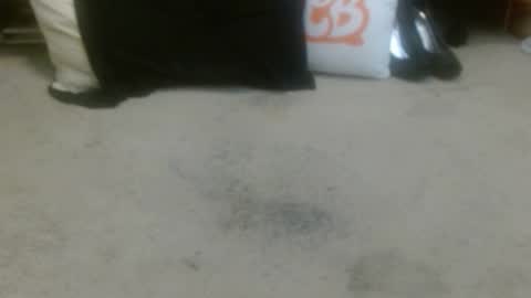 Holly Hawkes online show from February 3, 2026, 2:53 am