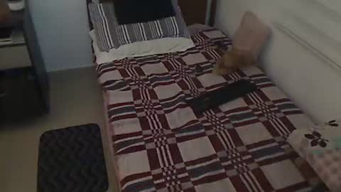 Snapshot of holofernes45gil chatting on March 28, 2026, 7:30 am Holofernes45gil online show from March 28, 2026, 7:30 am