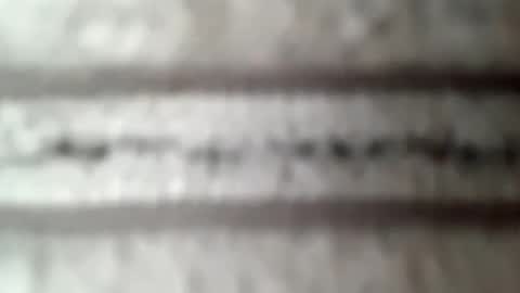 honeyboy010902 online show from February 10, 2026, 4:00 pm