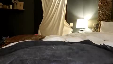 Snapshot of honeyhive_4u chatting on October 17, 2025, 6:27 am Honey online show from October 17, 2025, 6:27 am