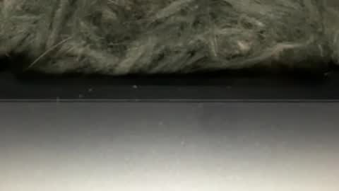 D online show from February 23, 2026, 5:38 am