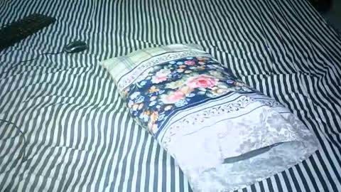 Snapshot of hornny4amani chatting on January 15, 2025, 8:09 am AMANI online show from January 15, 2025, 8:09 am