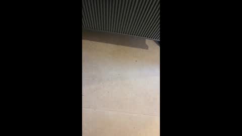 Snapshot of horny4more691 chatting on March 10, 2026, 6:57 pm horny4more691 online show from March 10, 2026, 6:57 pm