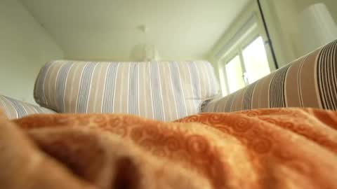 horny_edgucated online show from May 3, 2026, 1:17 pm