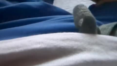 Snapshot of hornyallthetime6969696969 chatting on July 8, 2026, 1:32 am Tiny cock online show from July 8, 2026, 1:32 am