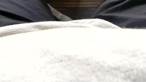Snapshot of hornyallthetime6969696969 chatting on July 15, 2026, 11:37 am Tiny cock online show from July 15, 2026, 11:37 am