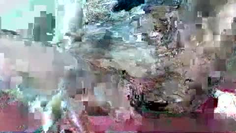 hornydrop_ online show from September 30, 2025, 11:15 am