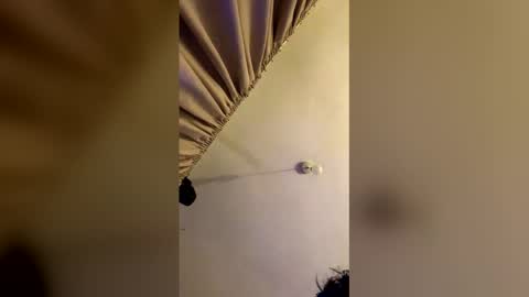 hornyprinny online show from February 12, 2026, 3:56 am