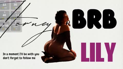 Snapshot of hornystepmommy_ chatting on November 8, 2025, 12:33 am LILY online show from November 8, 2025, 12:33 am