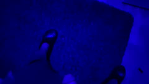 hornystroker21 online show from October 19, 2025, 2:01 am