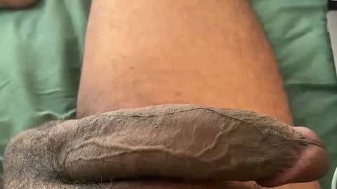 Bbc horsey online show from January 12, 2026, 7:19 pm