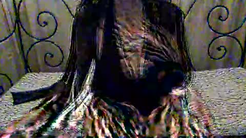 Dina online show from November 1, 2025, 8:11 pm