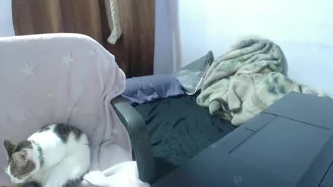 Hot and PowerHOPE U MISS ME online show from November 14, 2025, 3:49 am