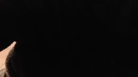 hotboxbbyz online show from December 22, 2025, 10:18 pm