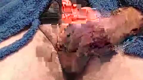 Snapshot of hotcam50 chatting on December 7, 2024, 4:25 pm Hotcam50 online show from December 7, 2024, 4:25 pm