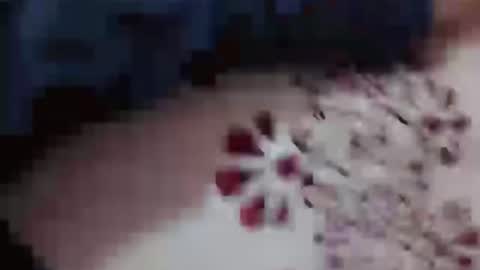 Snapshot of hotcapolx chatting on November 23, 2025, 4:51 pm Hotcapolx online show from November 23, 2025, 4:51 pm