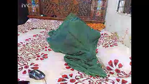 Snapshot of hotcapolx chatting on November 24, 2025, 5:34 pm Hotcapolx online show from November 24, 2025, 5:34 pm