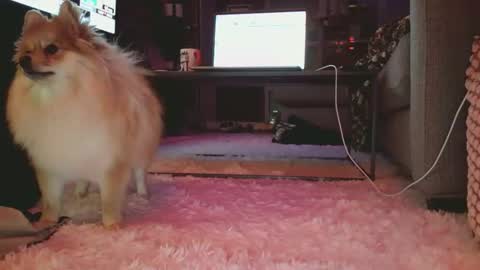 hotgirlbigbutt online show from January 17, 2026, 11:15 am