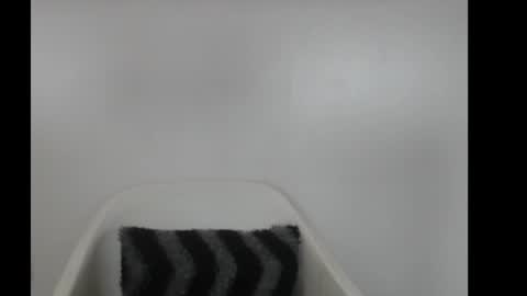 Snapshot of hotjessie0 chatting on February 18, 2026, 4:08 am hotjessie0 online show from February 18, 2026, 4:08 am